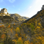 le parc national des Cévennes