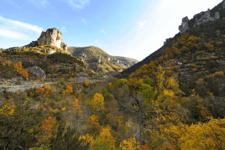 le parc national des Cévennes