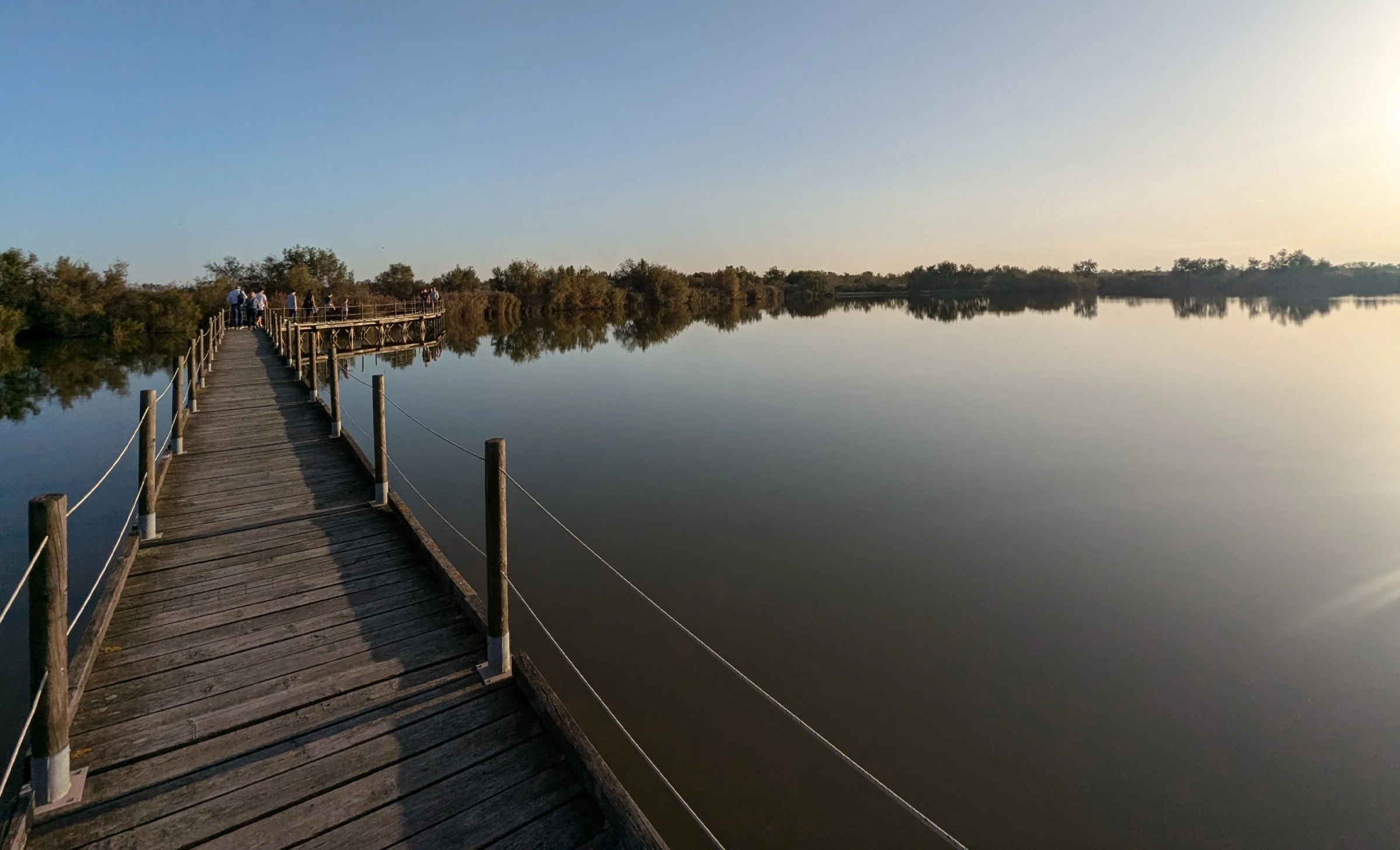 réserve naturelle régionale du Scamandre