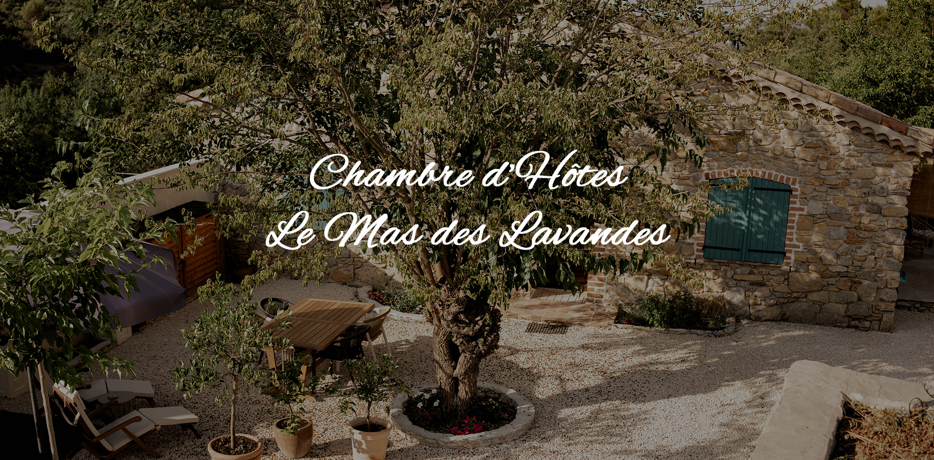 Mazet dans la nature
